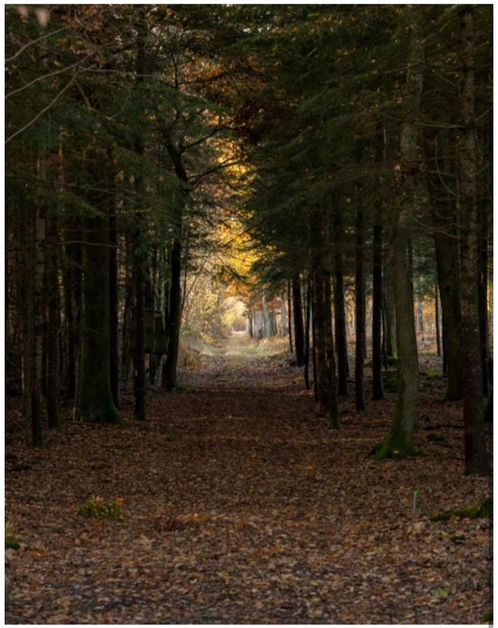 les chatelliers Bouzy-la-Foret Exterior foto